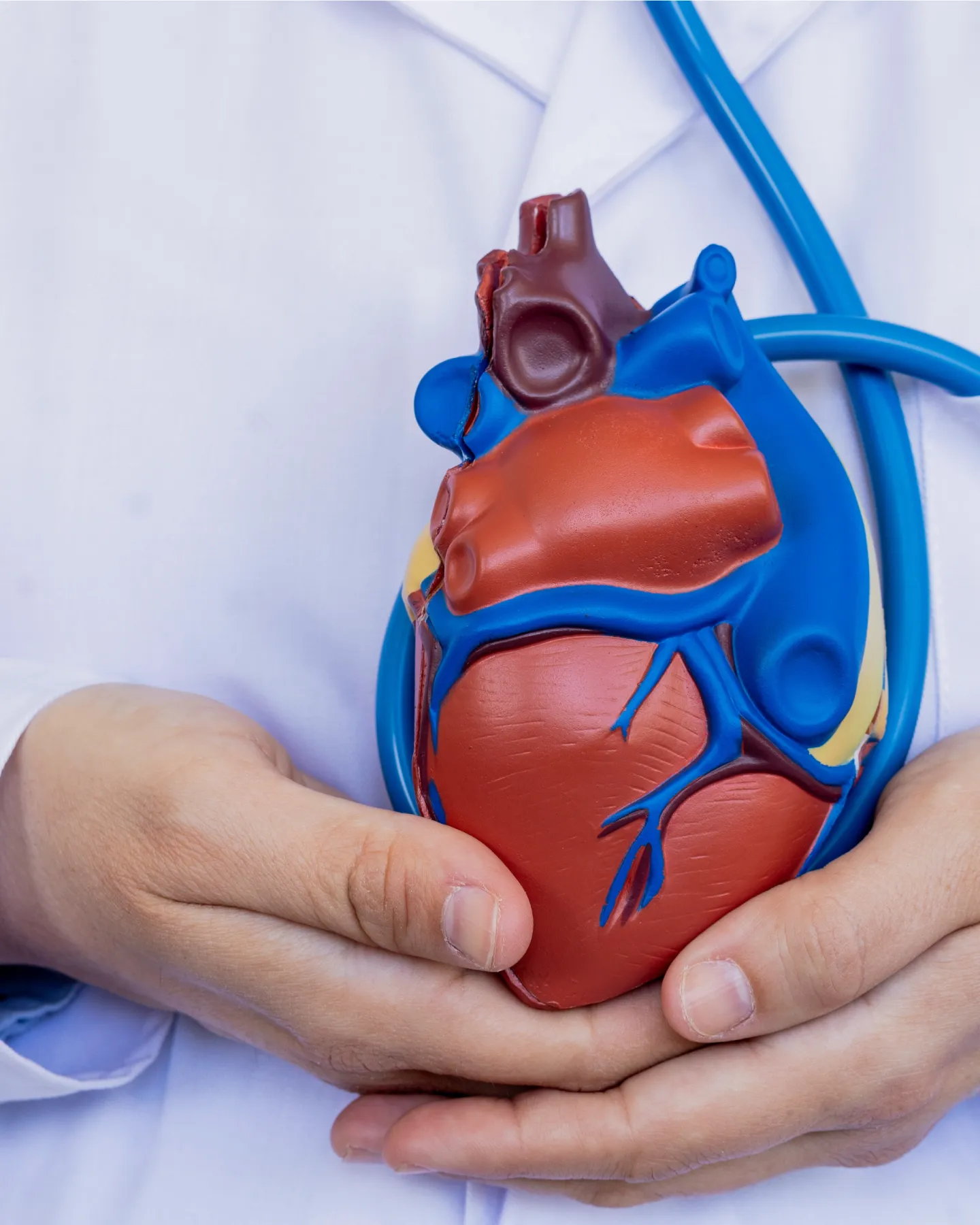 Cardiología