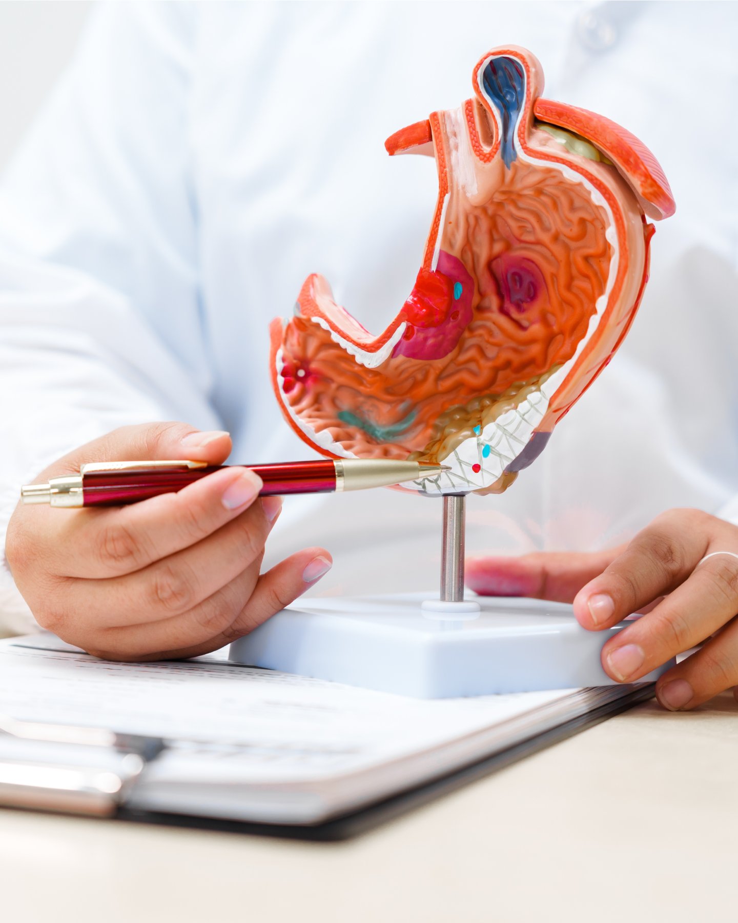 gastroenterología